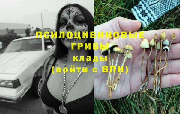 PSILOCYBIN Армянск